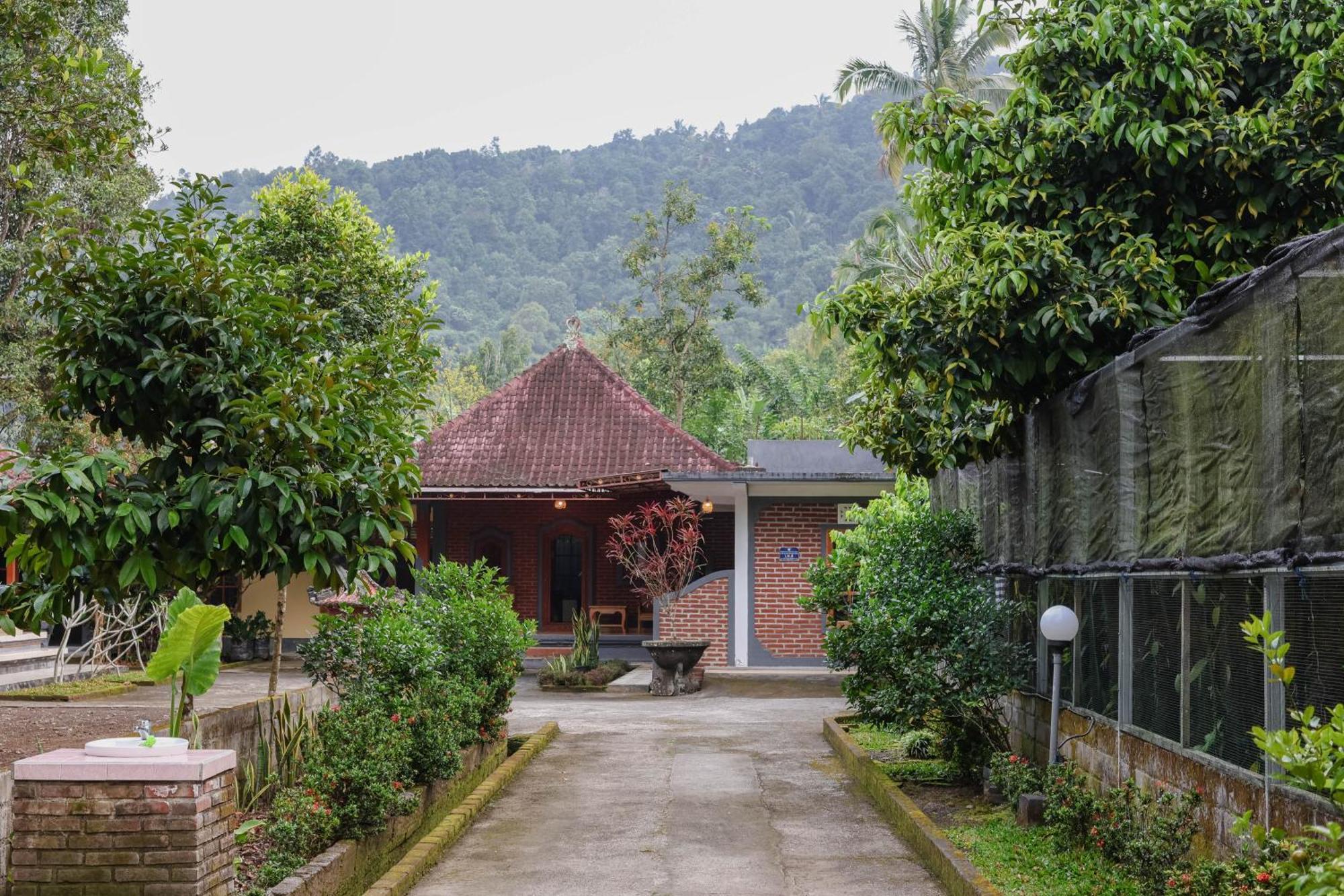 The Kori Homestay Munduk Eksteriør bilde